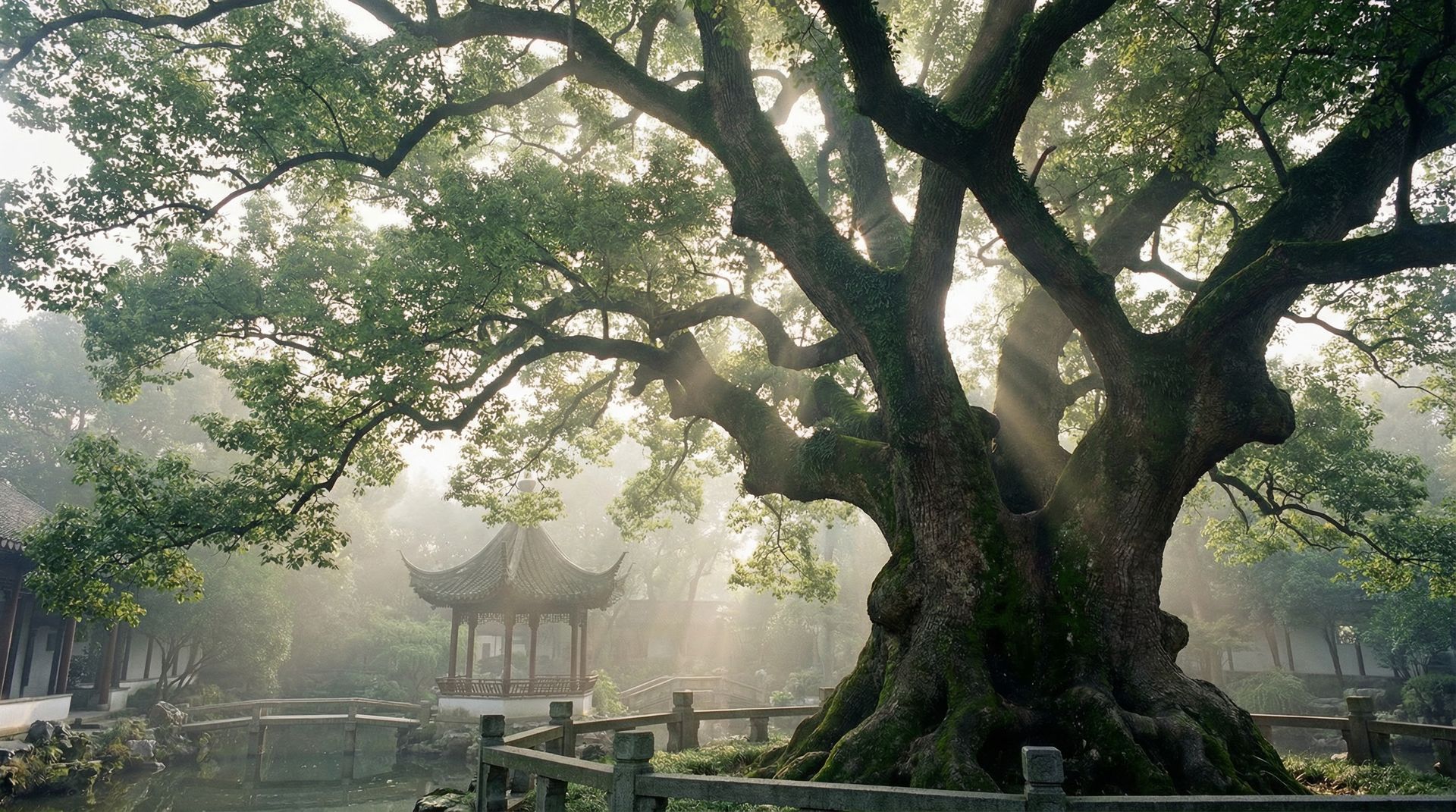 福利姬樟树视频